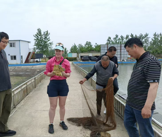 Chinese and Australian Experts Explore New Pathways for Ecological Conservation and Industrial Development of Turtles and Softshell Turtles