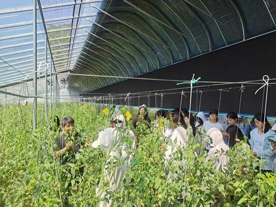 说明: 03ed3dc2d077875cb669456a3aec646